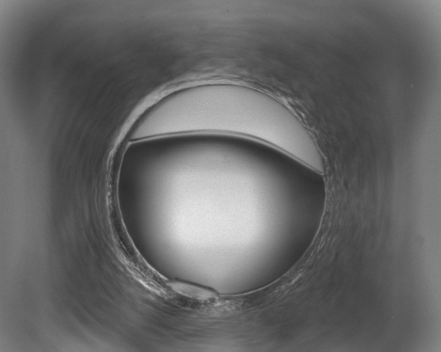 X0000079580056200612010936