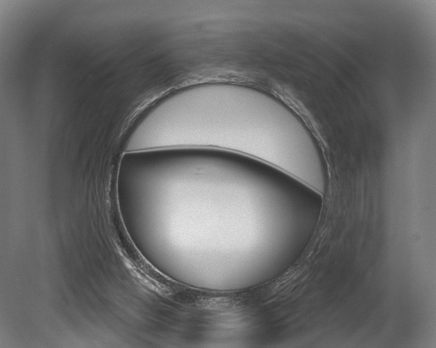 X0000079580058200612010936