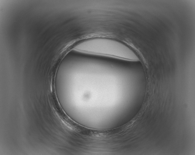 X0000079580062200612010936