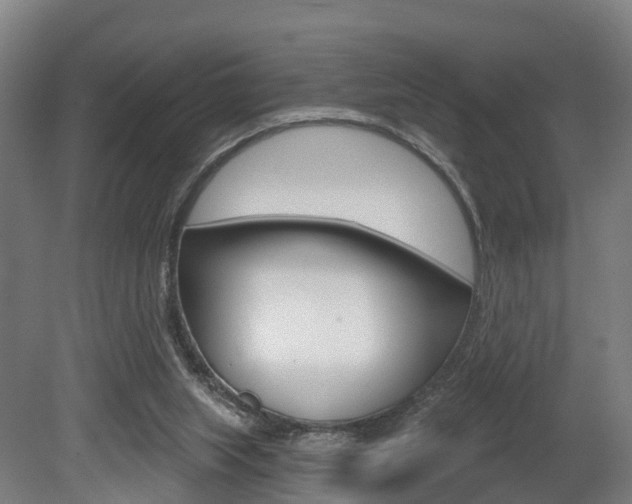 X0000079580063200612010936