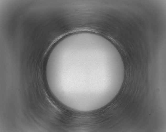 X0000079580064200612010936