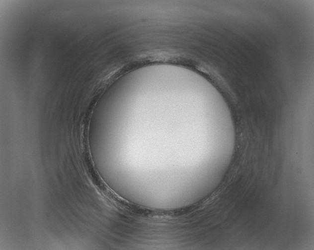 X0000079580066200612010936