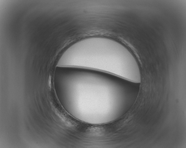 X0000079580067200612010936