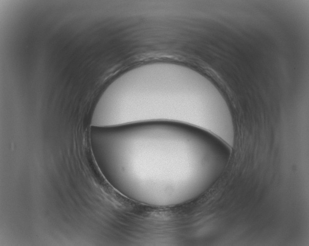 X0000079580071200612010936