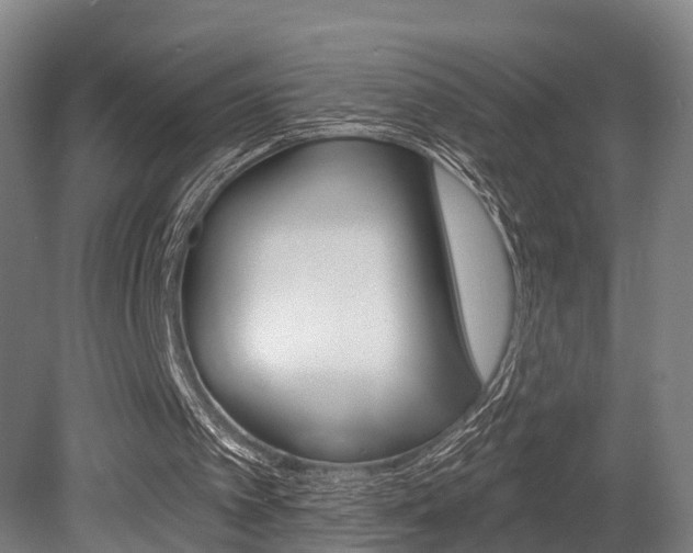 X0000079580097200612010936