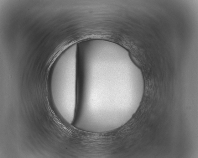 X0000079580098200612010936