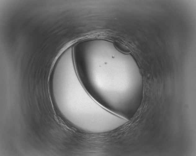 X0000079580100200612010936