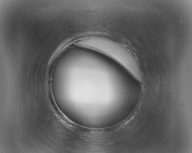 X0000079580101200612010936