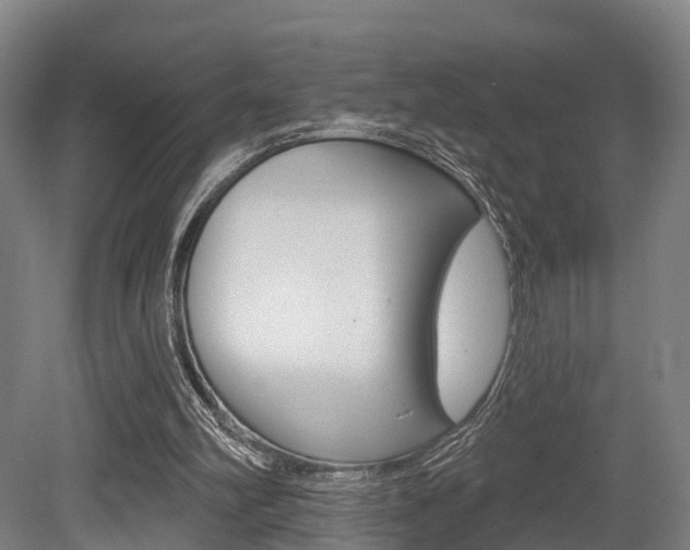 X0000079580102200612010936