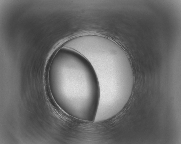 X0000079580104200612010936