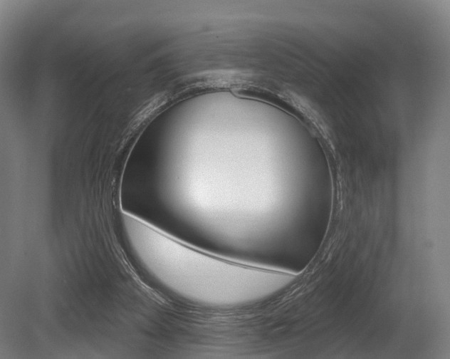 X0000079580105200612010936