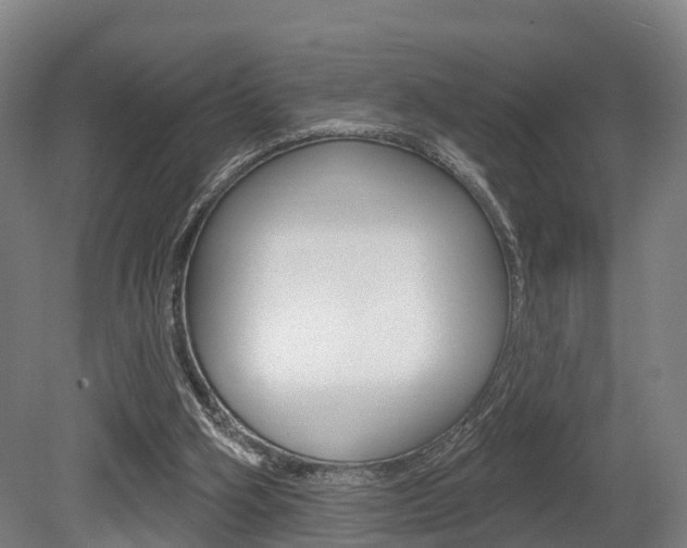 X0000079580106200612010936