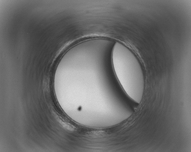 X0000079580108200612010936