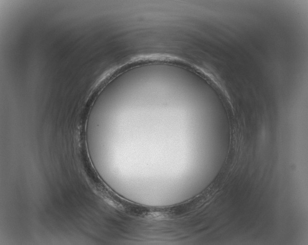 X0000079580111200612010936