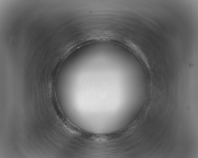 X0000079580113200612010936