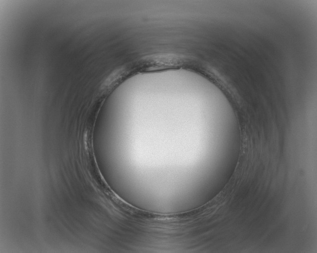 X0000079580117200612010936