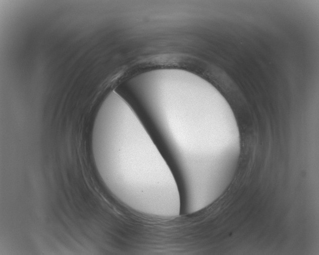 X0000079580120200612010936