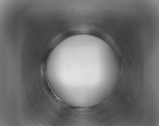 X0000079580122200612010936