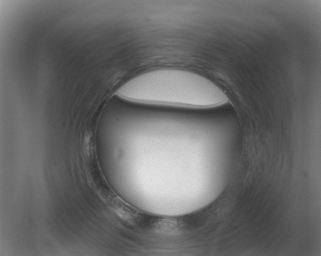 X0000079580123200612010936