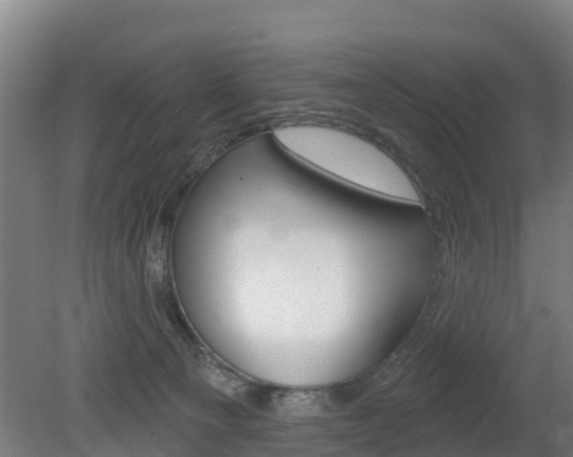 X0000079580129200612010935