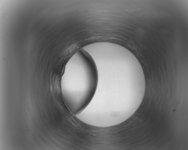 X0000079580143200612010935