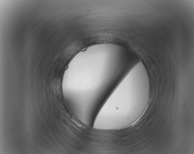 X0000079580144200612010935