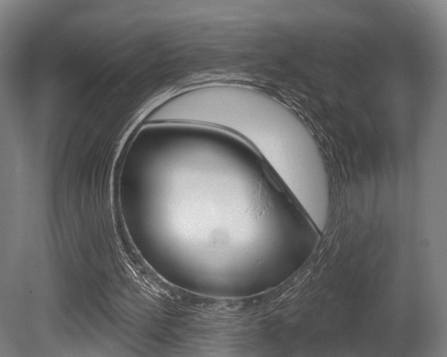 X0000079580148200612010934
