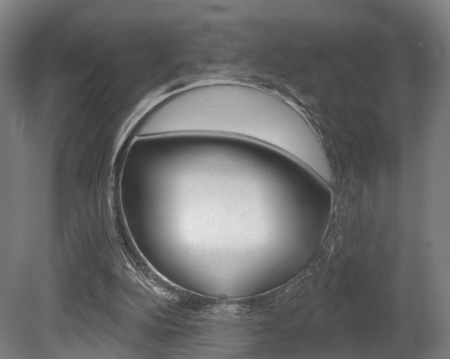 X0000079580152200612010934