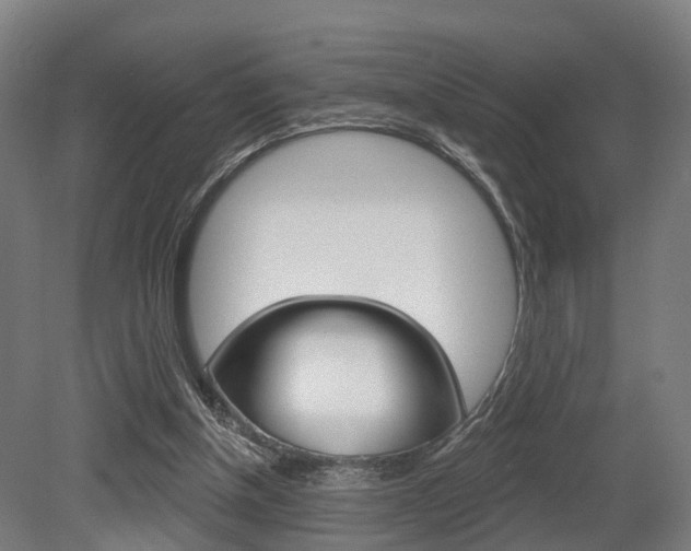 X0000079580154200612010935