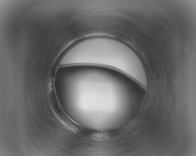 X0000079580160200612010935