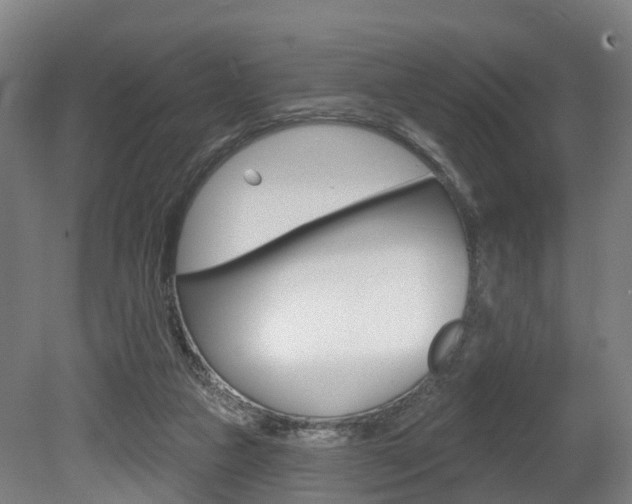 X0000079580161200612010935