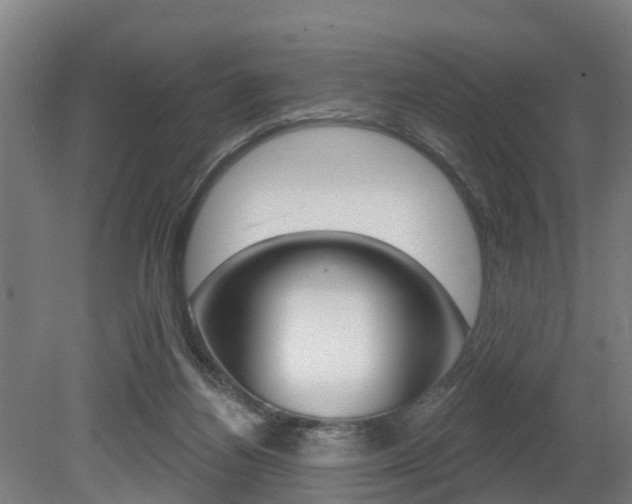 X0000079580164200612010935