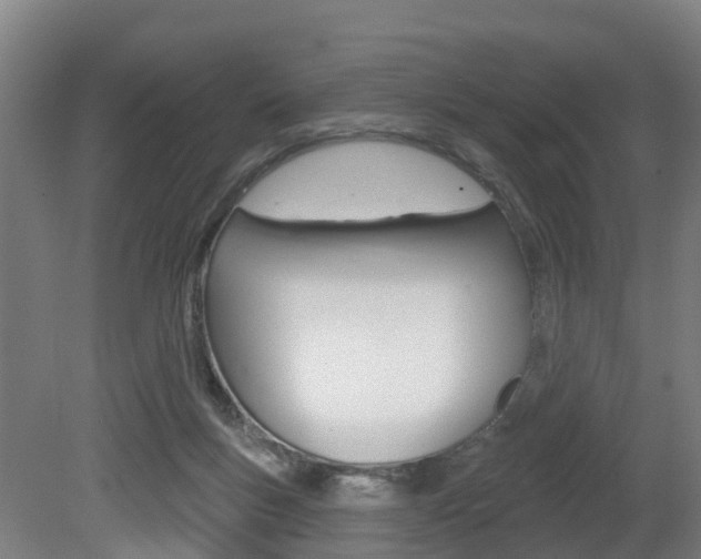X0000079580167200612010935