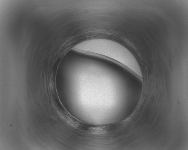 X0000079580170200612010935