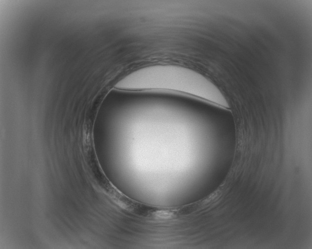 X0000079580176200612010935