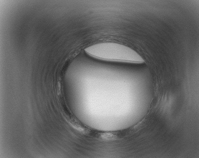 X0000079580183200612010935