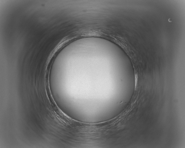 X0000079580195200612010934