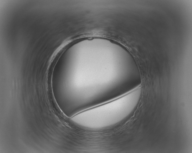 X0000079580200200612010934