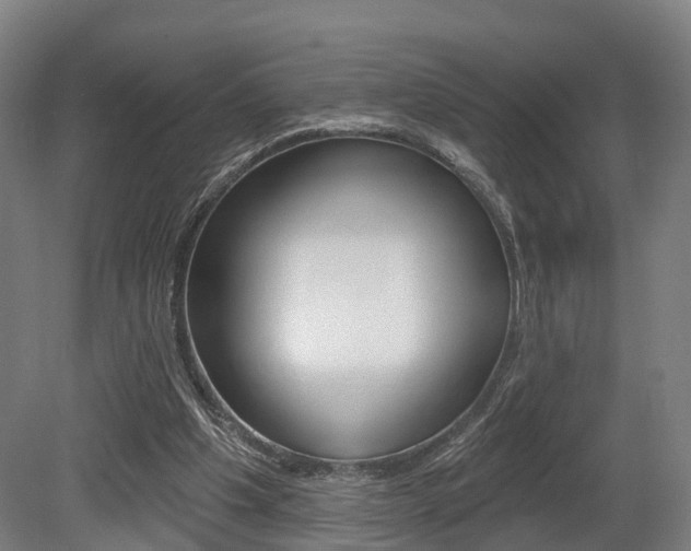 X0000079580201200612010934
