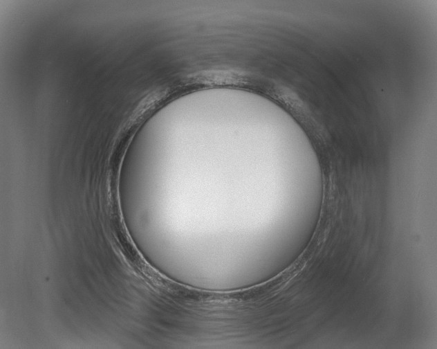 X0000079580202200612010934