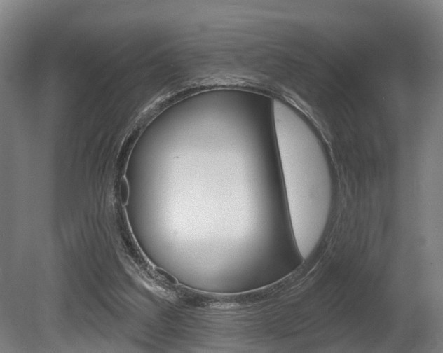 X0000079580203200612010934