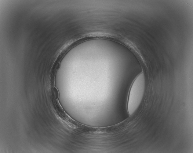 X0000079580204200612010934