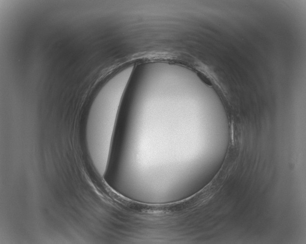 X0000079580205200612010934