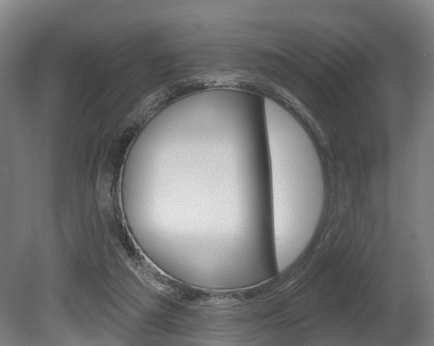 X0000079580209200612010934