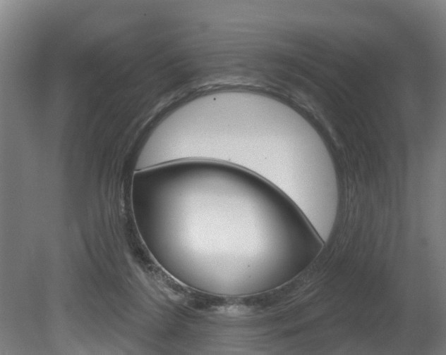 X0000079580212200612010934