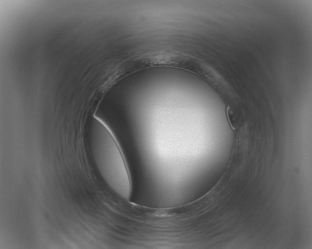 X0000079580217200612010934