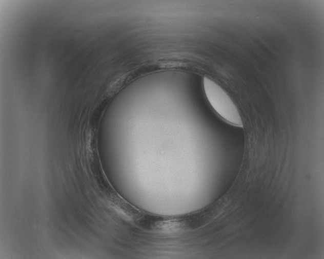 X0000079580219200612010934