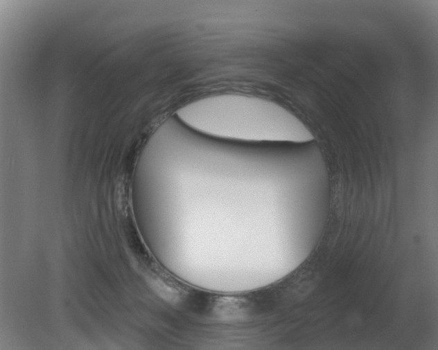 X0000079580222200612010934