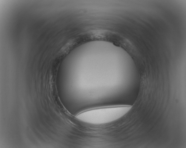 X0000079580223200612010934