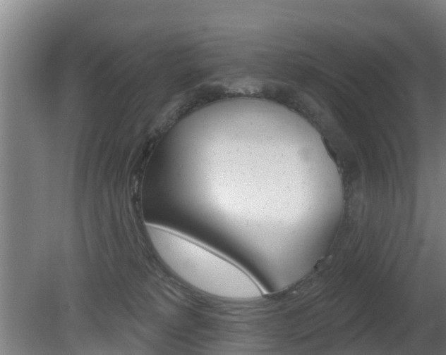X0000079580229200612010934